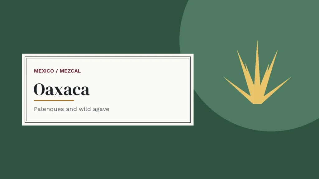 Label-style cover with an agave plant — Oaxaca mezcal guide